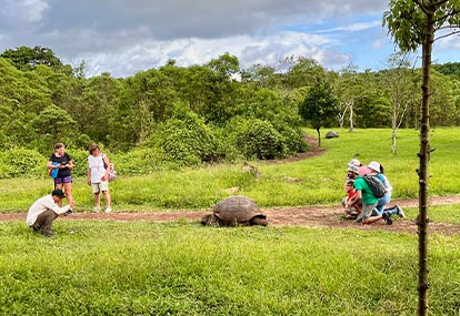 People taking a picture with a galapagos giant tortoise.