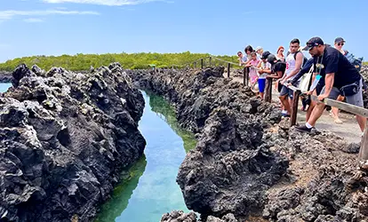 Personas en el canal del Islote Tintoreras isla Isabela Galápagos.