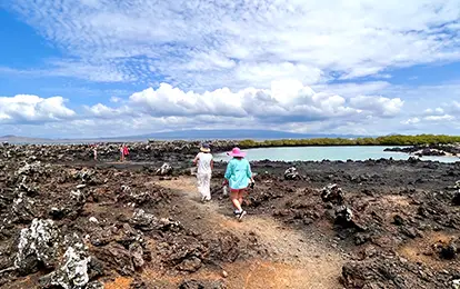Islote Tintoreras isla Isabela.