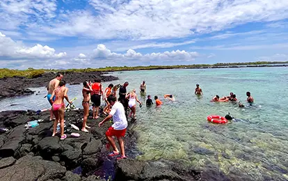 Snorkeling en islote Tintoreras.