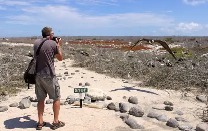 Persona tomando una fotografía en la isla Seymour Norte.