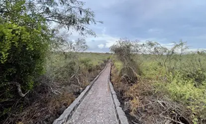 Entrada a la playa Tortuga Bay.