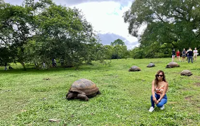 Tortuga gigante de Galápagos en la reserva el chato.