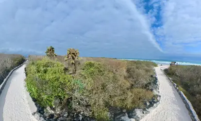 Camino a la Playa Tortuga Bay.