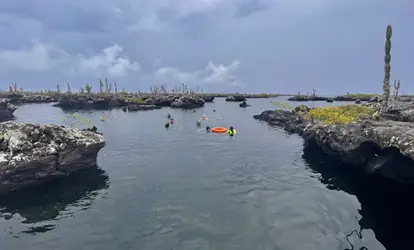 Personas haciendo snorkeling en Los Túneles. 