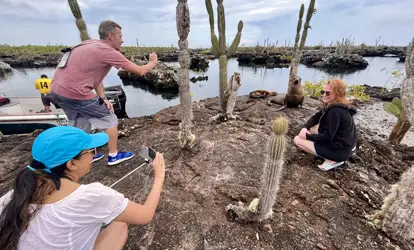Persona junto a un lobo marino.