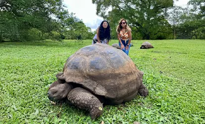 Tortuga gigante con personas detrás.